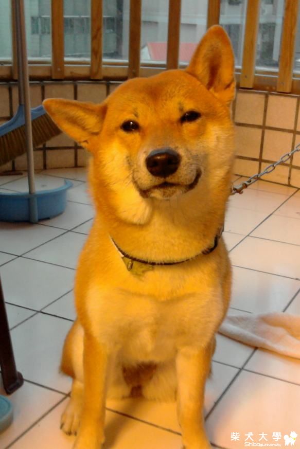 緊急求助,請幫忙(附圖)(原發表者:阿咪醬醬)(醫療保健)