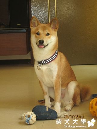 100 Farm 半日遊(原發表者:hjchen168)(相簿)