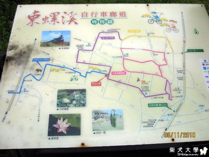 2010年11月6日/TOYOTA萬人健步走(原發表者:Eagle姊)(相簿)