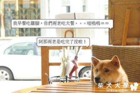 我們吃大餐...FILA吃不到(原發表者:皮蛋)(相簿)