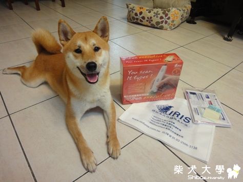 像不像?(原發表者:小新媽)(相簿)