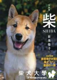 幸福柴犬可愛生活寫真集(原發表者:candyoukf)(相簿)