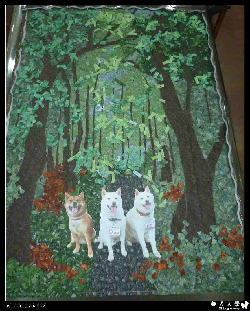 破百,DB&TB之森林浴拼布壁飾(原發表者:破百家)(相簿)