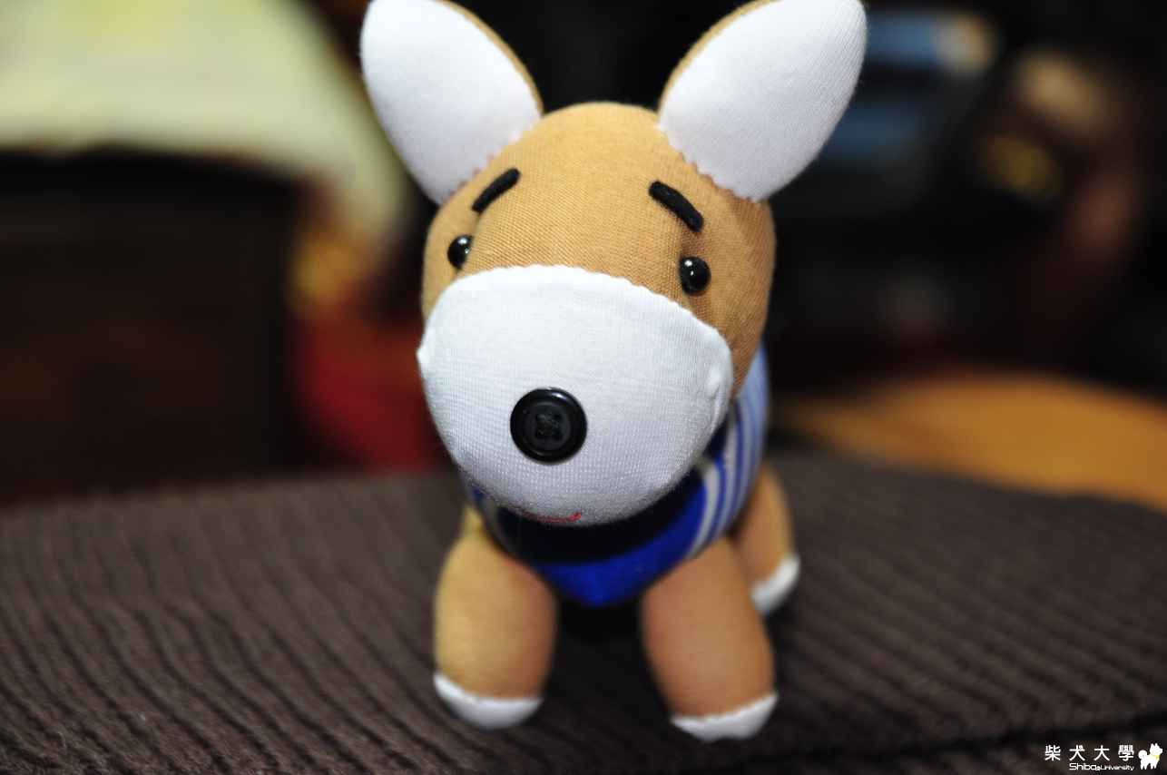 襪襪丸(原發表者:肉丸麻)(相簿)