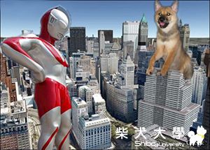 狐斯拉VS鹹蛋超人(原發表者:狐媽)(相簿)