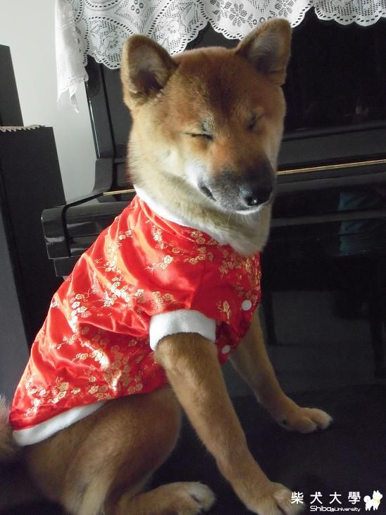 Meki寶貝冬日秀~第二波!!!(原發表者:MEKI麻)(相簿)