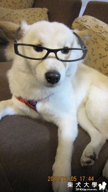 Q寶老師上課囉(原發表者:rita)(相簿)