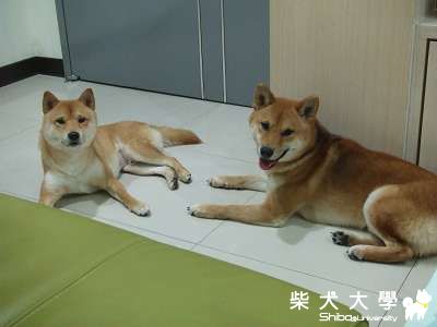 Fighter的男男戀><"(原發表者:Fighter爸)(相簿)