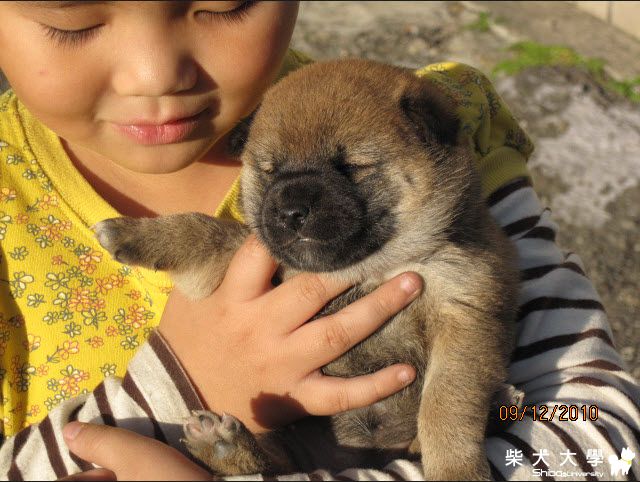 控肉長大好多喔  22天了 有胖喔(原發表者:天生神準)(相簿)