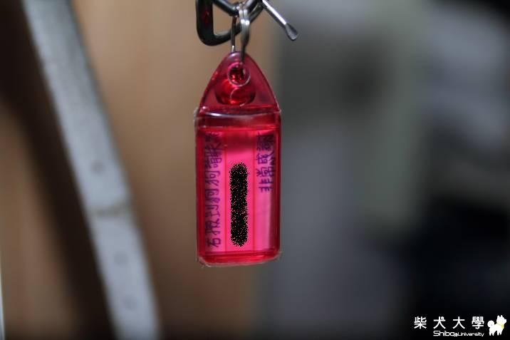 ＊阿圓牌~便宜狗牌＊(原發表者:深夏)(相簿)