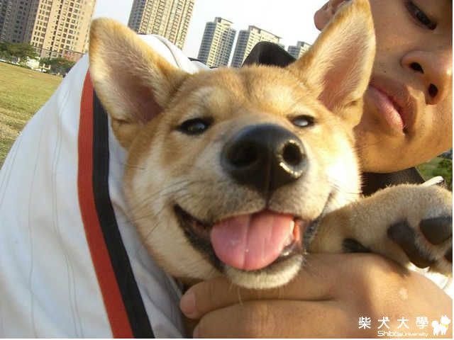 Lena這副德性...(原發表者:cosmicwretch)(相簿)