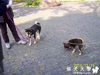 12.19現場小PO幾張(原發表者:kikilove99)(相簿)