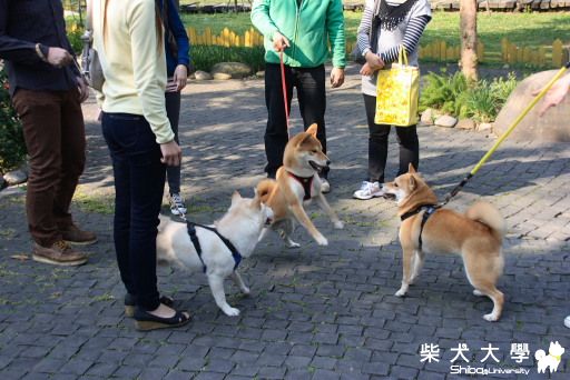 2010.12.19 大溪聖誕PA(原發表者:Bart)(相簿)