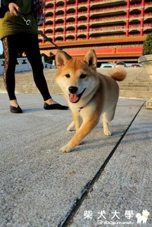 麵包 圓山撒野去~(原發表者:小麵包的麻)(相簿)