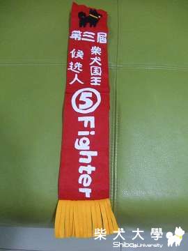 請大家多多支持5號候選人～Fighter(原發表者:Fighter爸)(相簿)