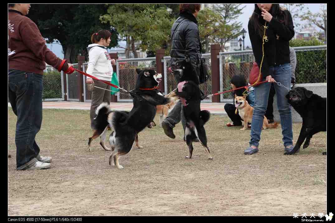 台中禮物交換聖誕趴照片(破百家篇)(原發表者:破百家)(相簿)