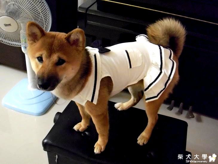 Meki的哀愁~~~(原發表者:MEKI麻)(相簿)