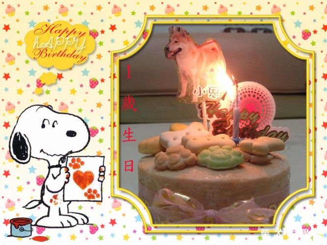 "小恩"一歲了+成長回顧(原發表者:小恩)(相簿)