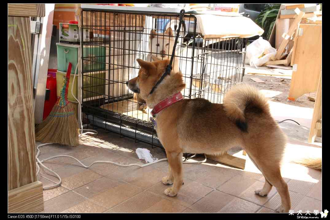 站好  = =(原發表者:破百家)(相簿)