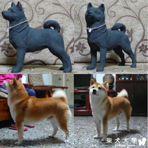 日本行找到的柴犬紀念品(原發表者:勇壯爸)(相簿)