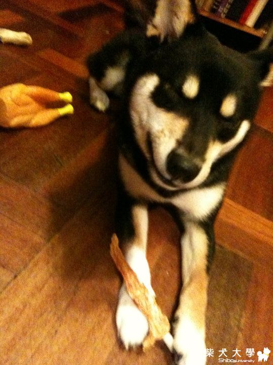 好吃(原發表者:kaka爸)(綜合討論)