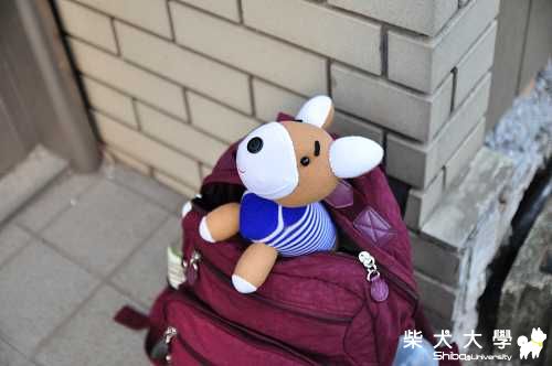 襪丸遊日本~吃美食。看美女(原發表者:肉丸麻)(相簿)