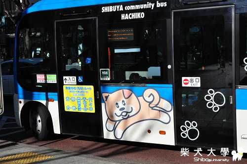 襪丸遊日本~~帶了一些柴犬小東西(新增照片)(原發表者:肉丸麻)(相簿)