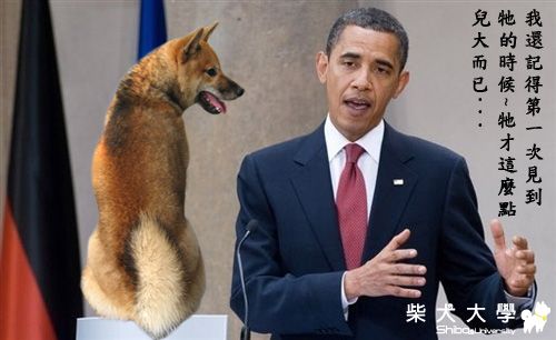 阿狐美國行(原發表者:狐媽)(相簿)