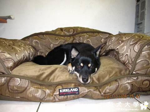 過新年換新床囉(原發表者:bond15)(相簿)