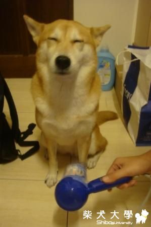 秋氏取暖(原發表者:阿秋爸)(相簿)