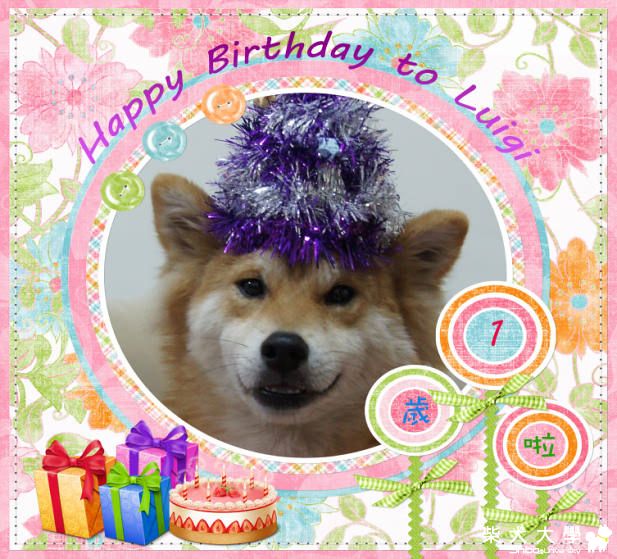 路奇一歲生日 回顧篇+美食篇+零食篇+生日篇(原發表者:ming0915)(相簿)