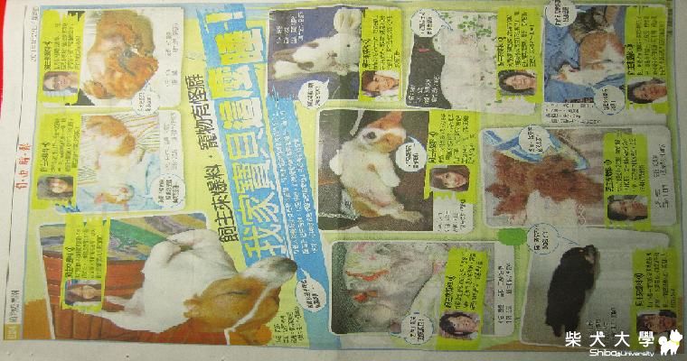 選上了自由時報的特刊好開心:D(原發表者:lovesbm)(相簿)