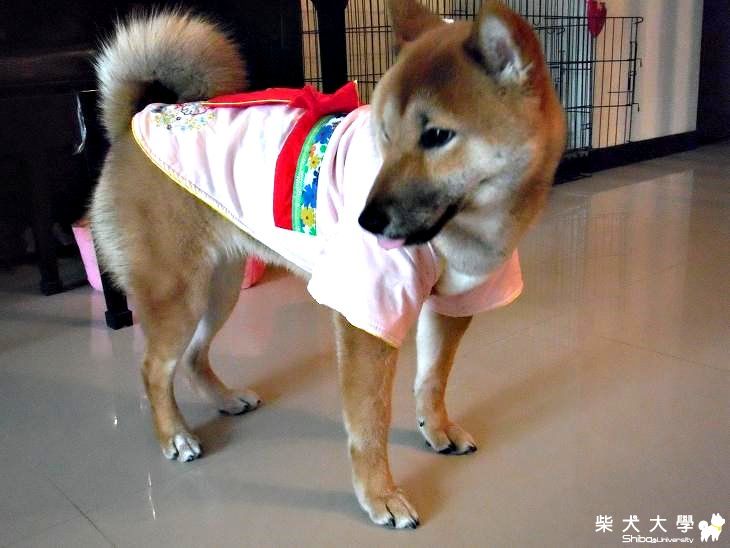 寒流來了穿新衣 :](原發表者:MEKI麻)(相簿)