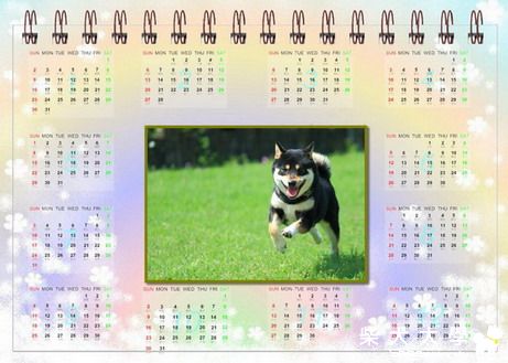 柴犬年曆贈送~It