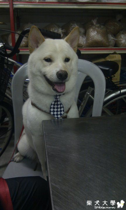 七個月的摳摳(原發表者:摳媽)(相簿)