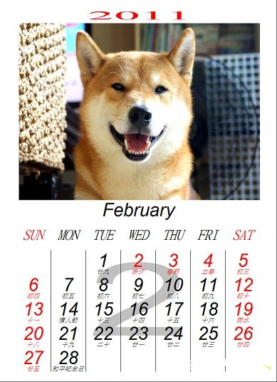 強強 祝大家 春節快樂 發大"柴"(原發表者:圓圓麻)(相簿)