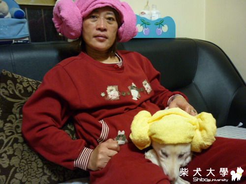 帶綿羊頭過兔年>////<(原發表者:屁蛋)(相簿)