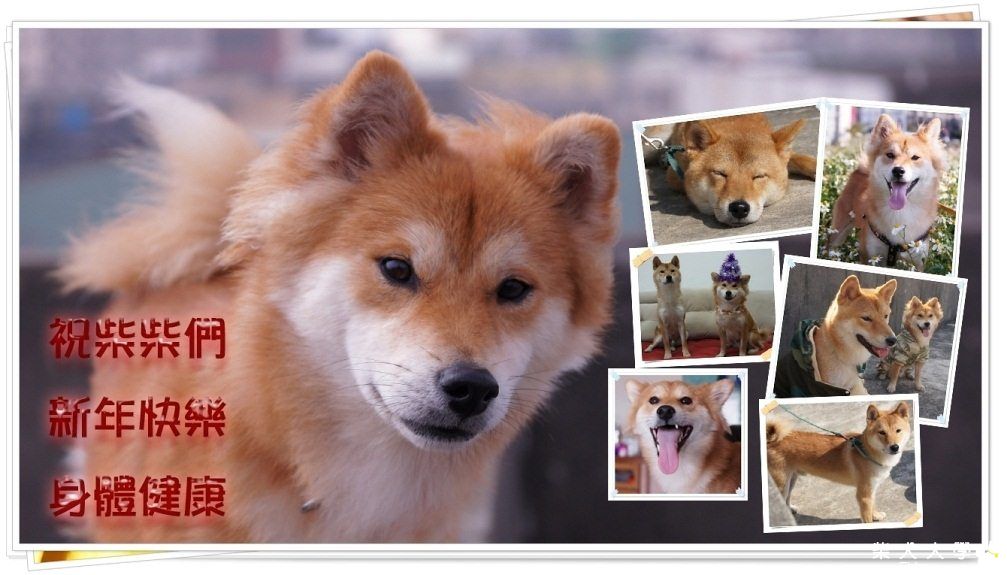 路奇家來拜年(原發表者:ming0915)(相簿)