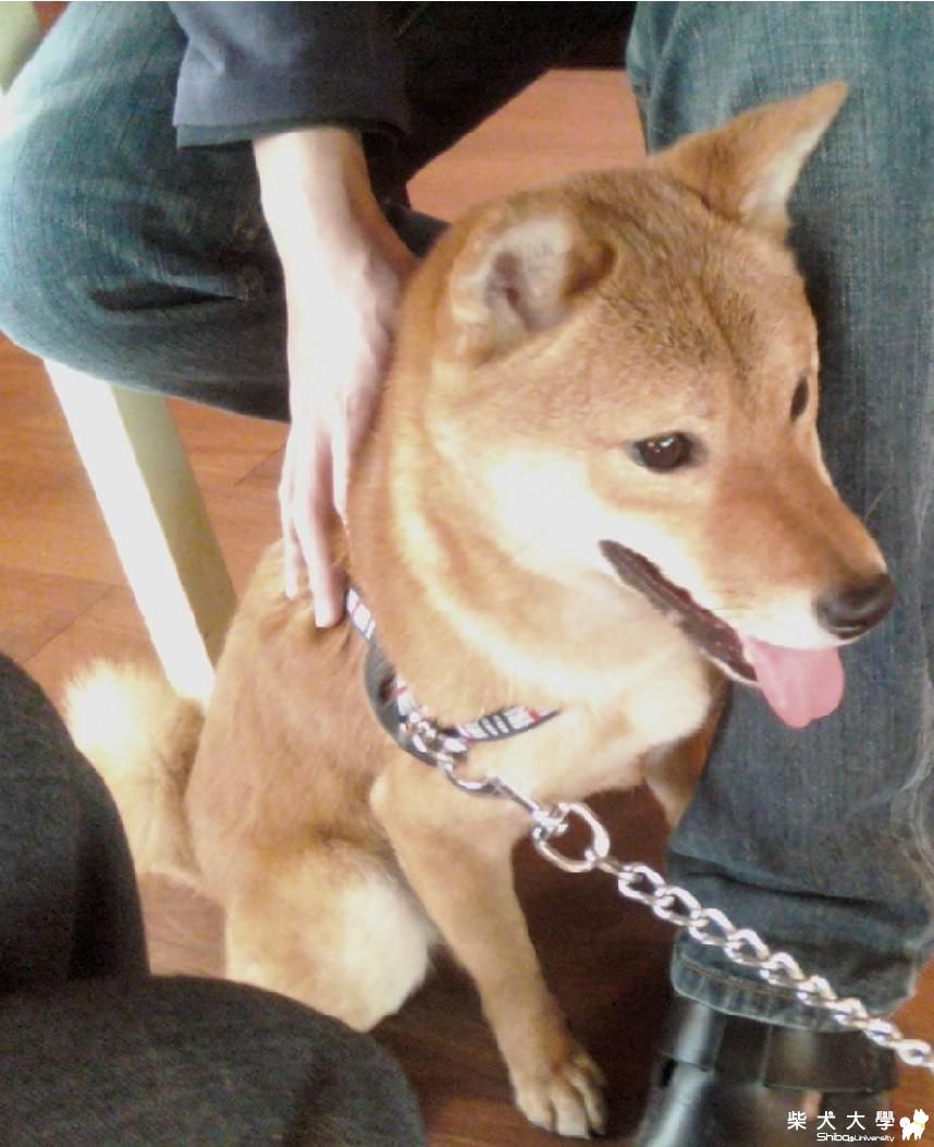 Pinky第一次到柏林 ( 照片都模糊到了 )(原發表者:Pinky麻)(相簿)