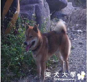 2月7日 屁屁屏東三地門遊記(原發表者:q495140647)(相簿)