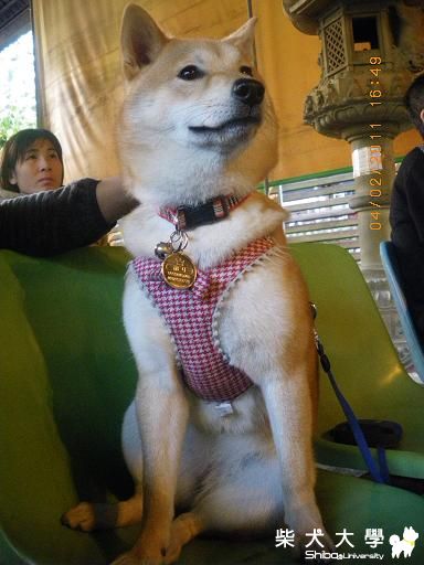 帶奶ㄐ去台中玩，真開心^^(原發表者:奶ㄐ(荔枝))(相簿)