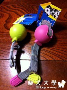 日本行紀念品 順便拜個晚年(原發表者:nunu麻)(相簿)