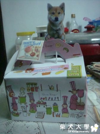 とら(tora)一歲生日快樂!(原發表者:蔡佳玲)(相簿)