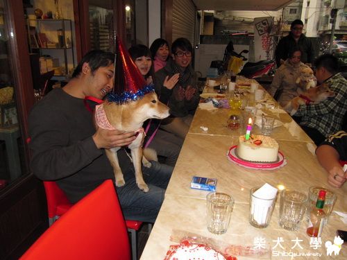 CANTA一歲生日趴~小寶篇(原發表者:阿寶)(相簿)