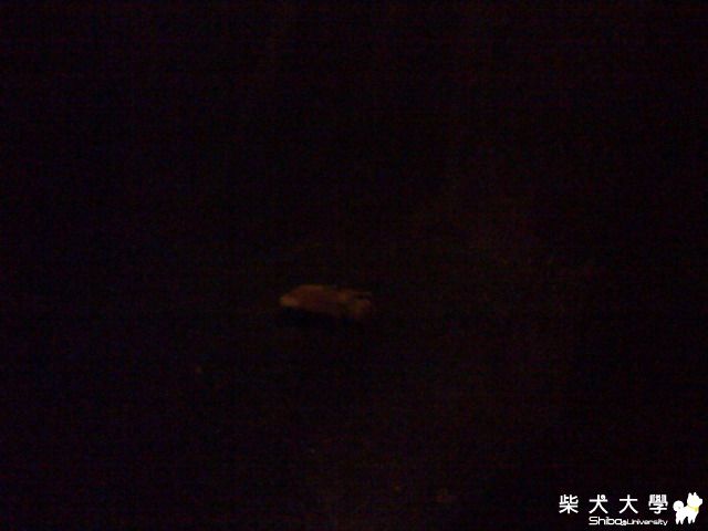 2-3-10事件(原發表者:饅頭爸)(相簿)