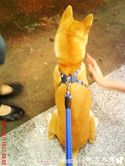 MIRU-背影~(原發表者:mimi)(相簿)