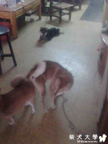 性教育(原發表者:kikilove99)(相簿)