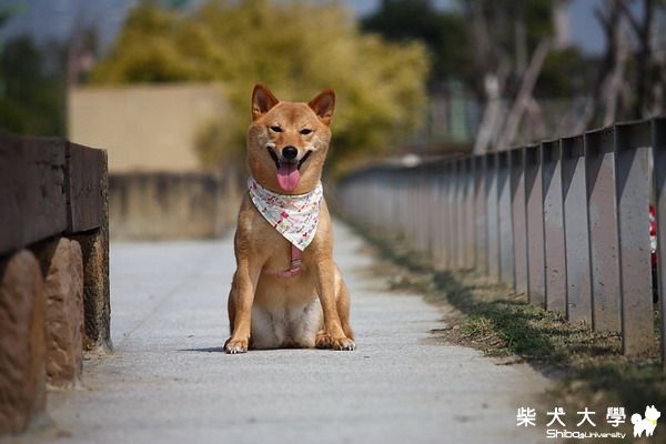 今天天氣好笑的真開心(原發表者:財妹拔拔)(相簿)