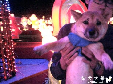 Hikki 也去看台灣燈會囉！(原發表者:sback)(相簿)