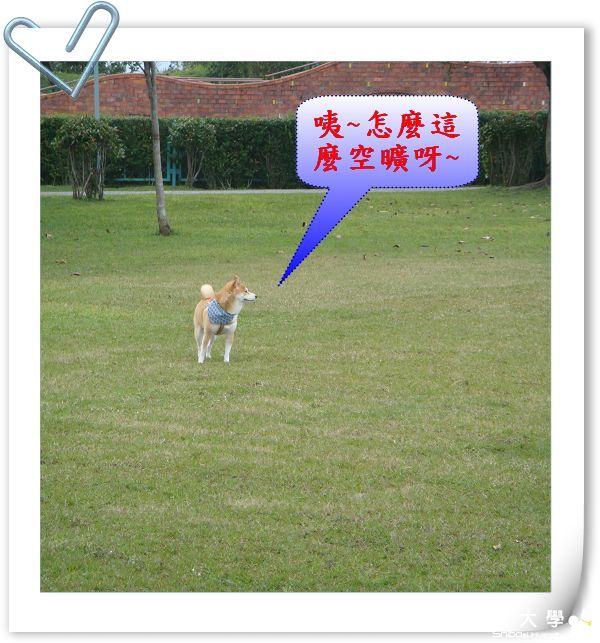 2011新年宜蘭行(新手試PO請多指教)(原發表者:肉包姐姐)(相簿)